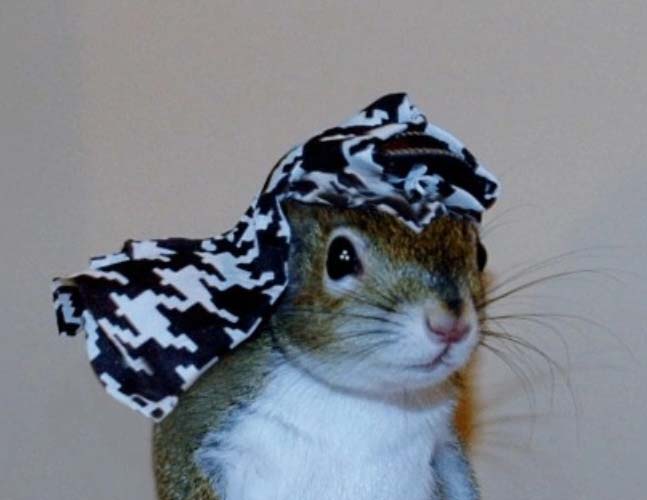 inscription 5ace30ce1f6d7d3e9b693437cde38516014092e2a839315f87bc743586d25b6ci0