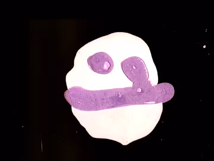 inscription 651c49c112ab1685364220cacf6f0244771562b597ba7490736904127f75a2bci10