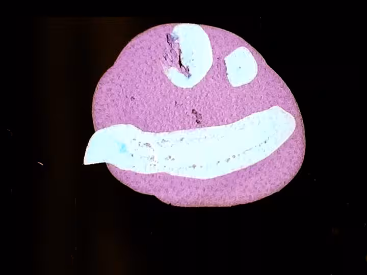 inscription 651c49c112ab1685364220cacf6f0244771562b597ba7490736904127f75a2bci14