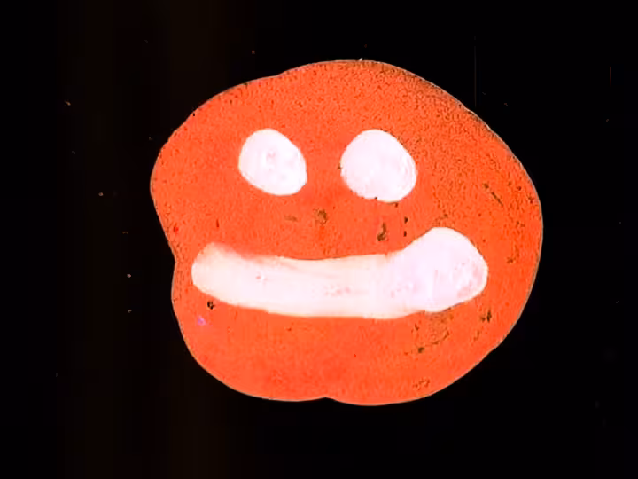 inscription 651c49c112ab1685364220cacf6f0244771562b597ba7490736904127f75a2bci16