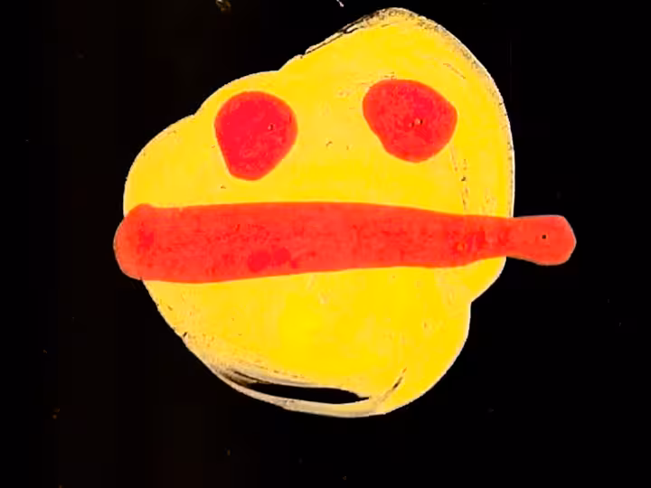 inscription 651c49c112ab1685364220cacf6f0244771562b597ba7490736904127f75a2bci17