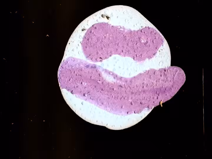 inscription 651c49c112ab1685364220cacf6f0244771562b597ba7490736904127f75a2bci18