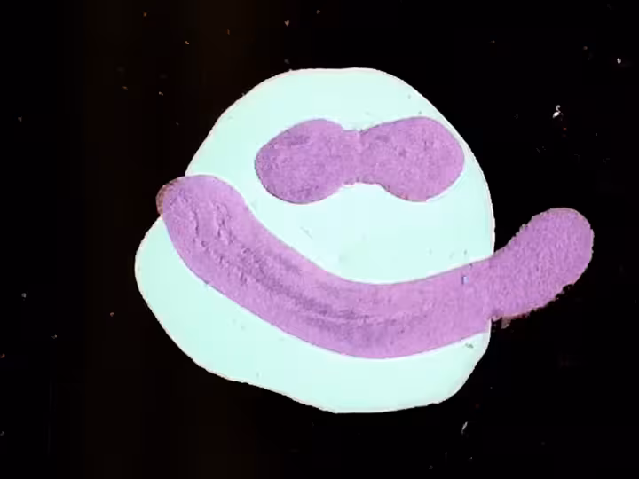 inscription 651c49c112ab1685364220cacf6f0244771562b597ba7490736904127f75a2bci19