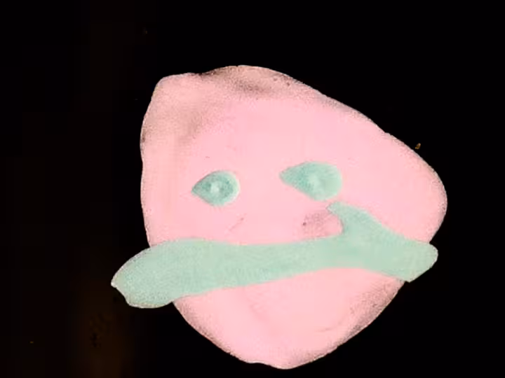 inscription 651c49c112ab1685364220cacf6f0244771562b597ba7490736904127f75a2bci23