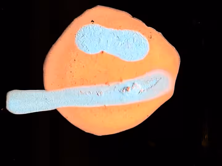 inscription 651c49c112ab1685364220cacf6f0244771562b597ba7490736904127f75a2bci3