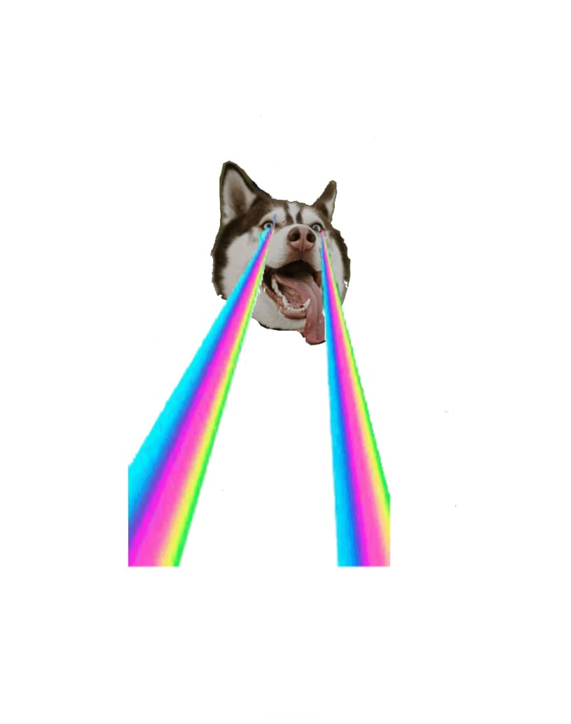 inscription 6614c76734cc336a01afc4b145f64b738c0655d7034058a2445f2ead9d1b8b83i0