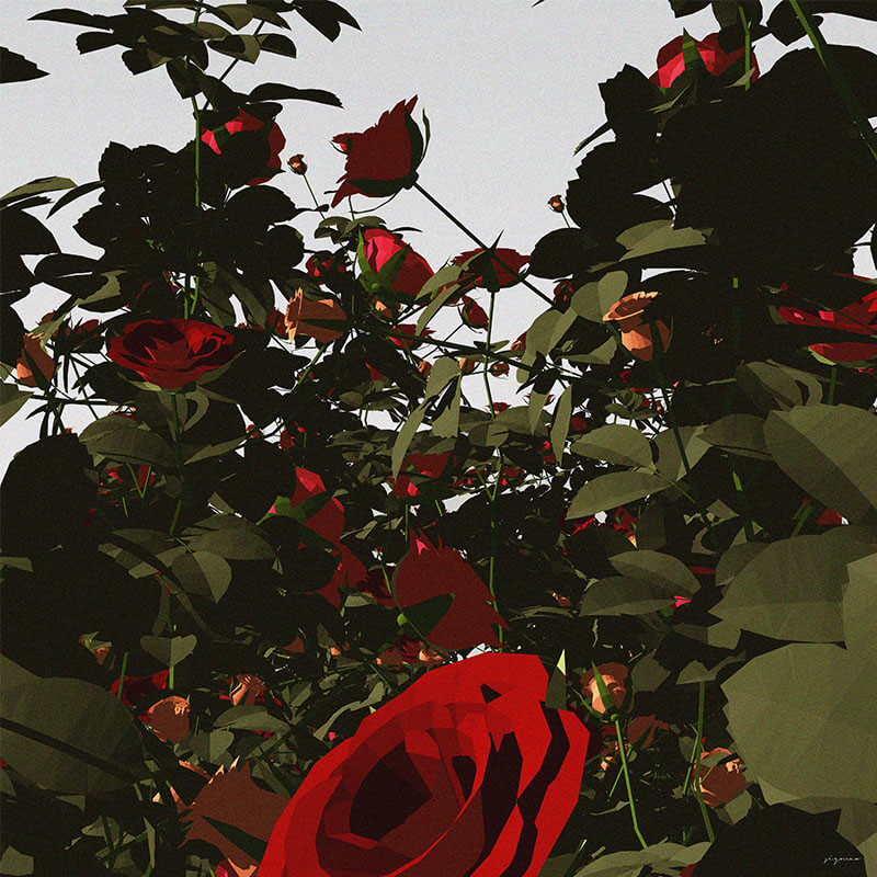 inscription 6753519edfadddd3984915f223189df148fca37b03e5f8ed14b0240c9bf86f55i0