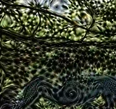 inscription 6adebced03a4dd3d23e224372c6269151e9809e51f8e3ccd26dc969da056157bi0