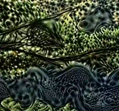 inscription 6adebced03a4dd3d23e224372c6269151e9809e51f8e3ccd26dc969da056157bi1