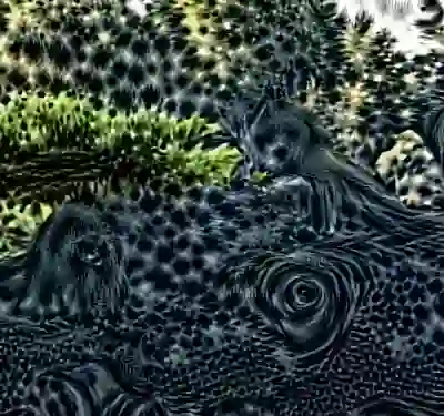 inscription 6adebced03a4dd3d23e224372c6269151e9809e51f8e3ccd26dc969da056157bi2