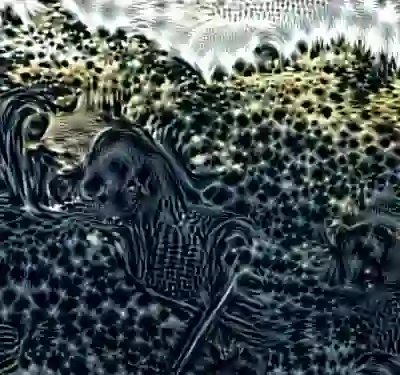 inscription 6adebced03a4dd3d23e224372c6269151e9809e51f8e3ccd26dc969da056157bi3