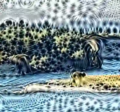 inscription 6adebced03a4dd3d23e224372c6269151e9809e51f8e3ccd26dc969da056157bi6