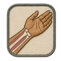 inscription 6d48933208c4f543c516b398c15f6de18b83693a2f0907b9acaec3a5635d495ci15