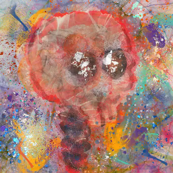 inscription 6de1a80284507391a65b542dfcfe411329254962c2c4a8831b8275a1bad35815i2