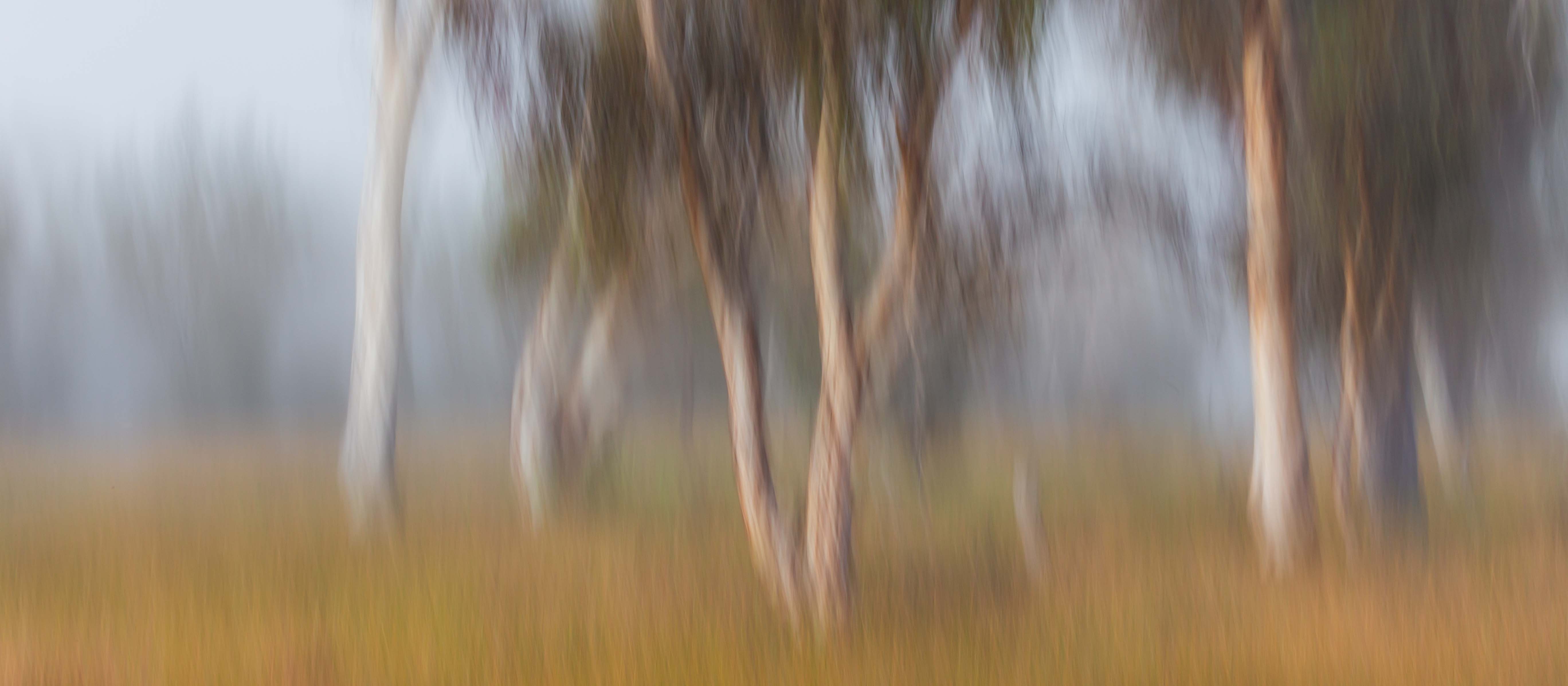 inscription 6faceb9d43538e149ecc5cd3dba3f9b63d03f86708c1b64a443a0812978b24d4i0