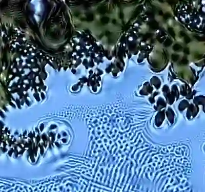 inscription 750f3d78402d9b230d20a526e7a5a2f0071524e4d538a807c4f63586a1aa6757i4