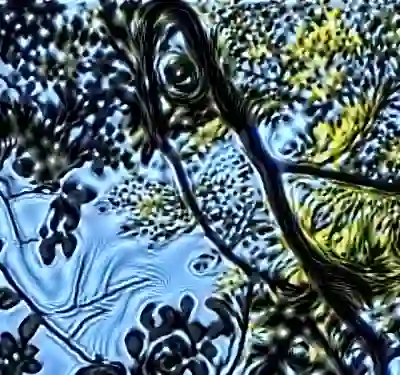 inscription 750f3d78402d9b230d20a526e7a5a2f0071524e4d538a807c4f63586a1aa6757i7