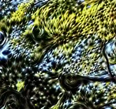 inscription 750f3d78402d9b230d20a526e7a5a2f0071524e4d538a807c4f63586a1aa6757i9