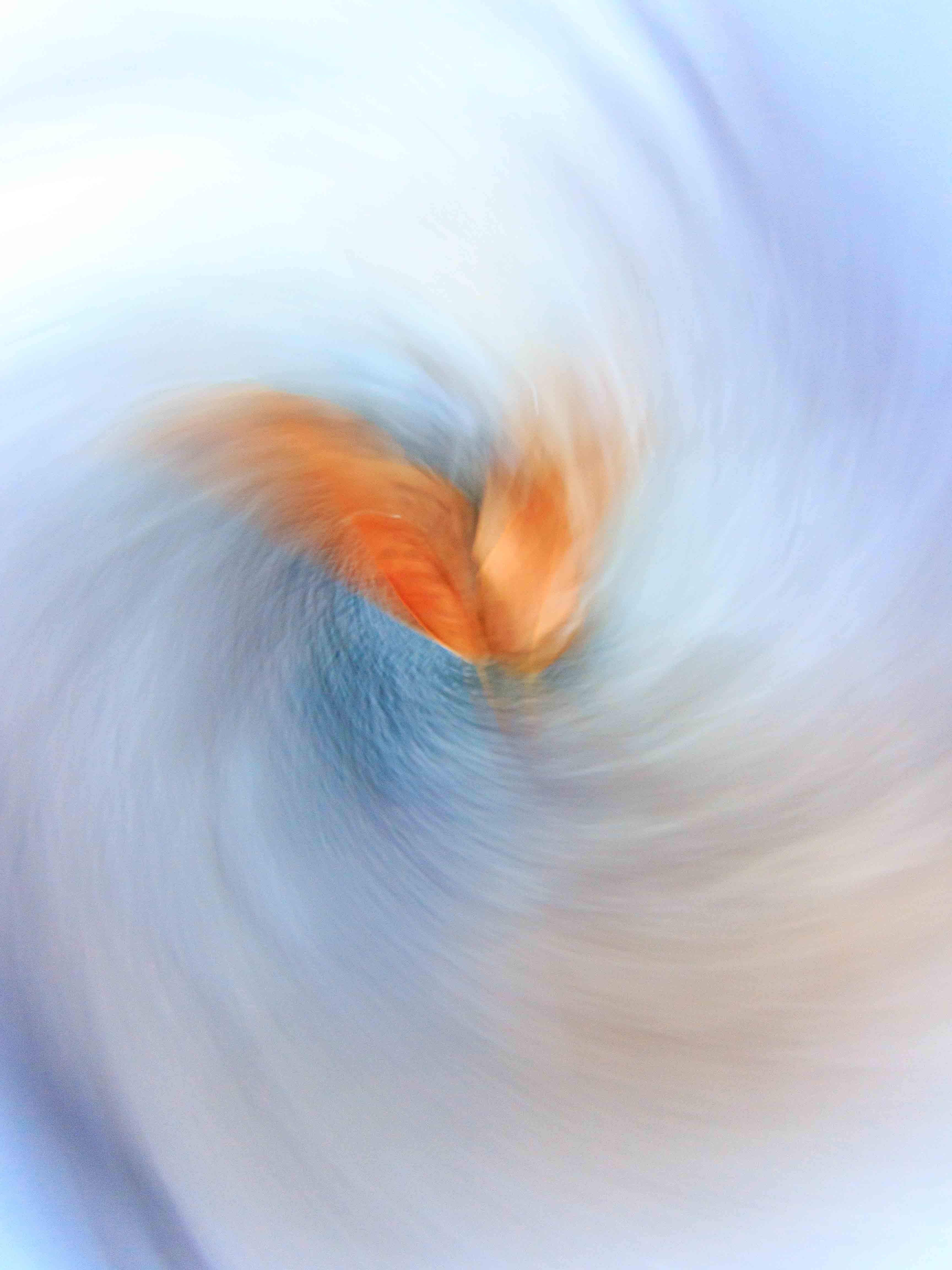 inscription 7636babab7d5a958f2b457cb812d716670d42351e79fc52f973c8d6820108371i0