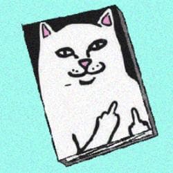 inscription 76fb672532259c27787918588e7e922fed03ed958b9feec8245fa212c5a749a7i0