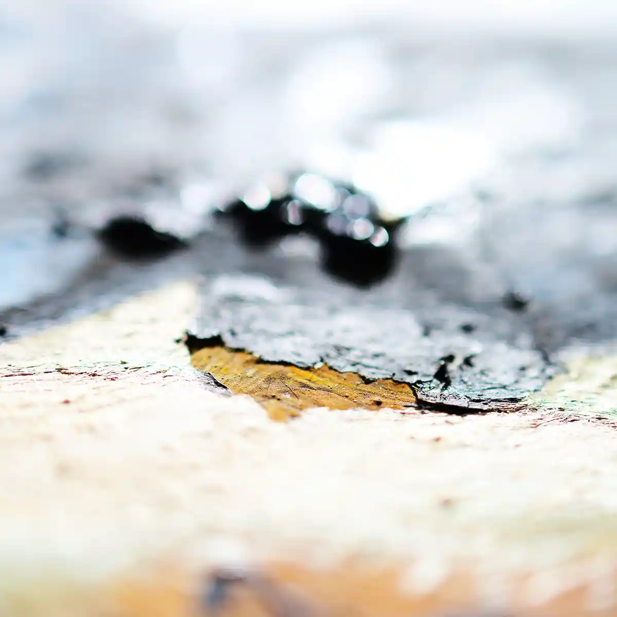 inscription 7a63d93d4e312dd8e1bf4ad5819bcb19070b057537c104af45041ac466e14f27i1