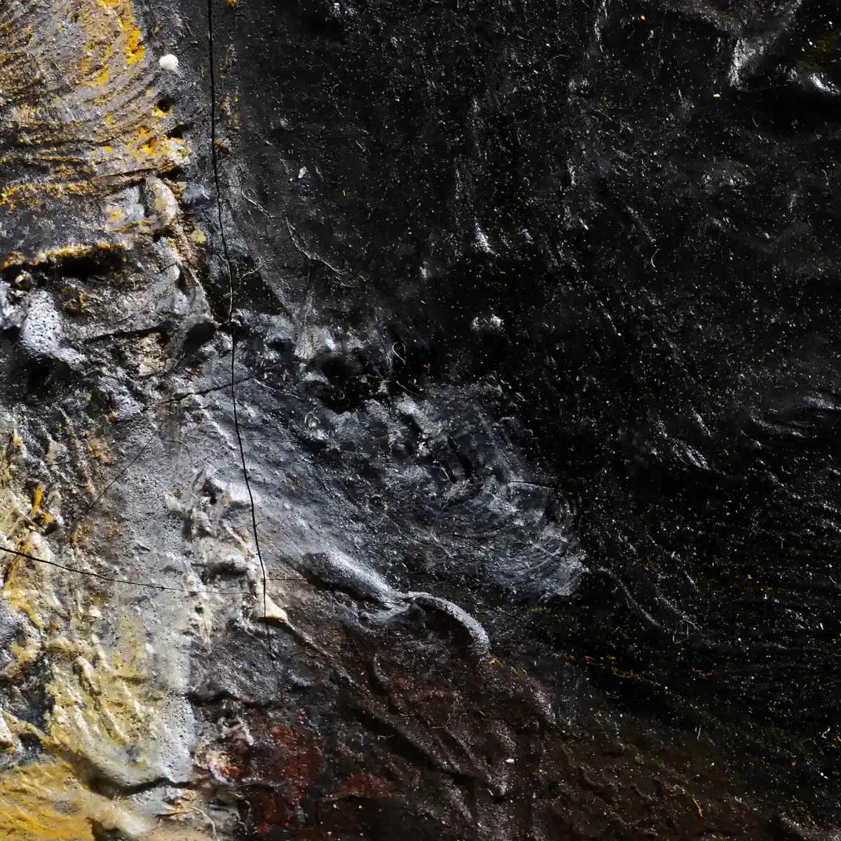 inscription 7d512d43bf07c6fe1852745e852ce32ee8d24963291843c0c57ac9b9cee53966i0