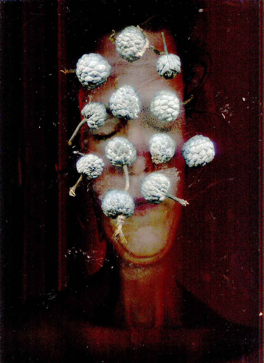 inscription 7d8f39b68afd53aab13bf2fec5297c4d0fa0e9d70a9fd56842da088d81c20329i0