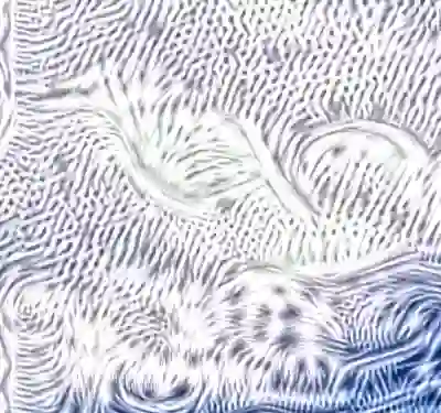 inscription 84429339a64fd37458585b1537f7b93fd2cc536c7f0701b0d8389a1b702d02b0i0