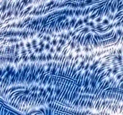 inscription 84429339a64fd37458585b1537f7b93fd2cc536c7f0701b0d8389a1b702d02b0i2