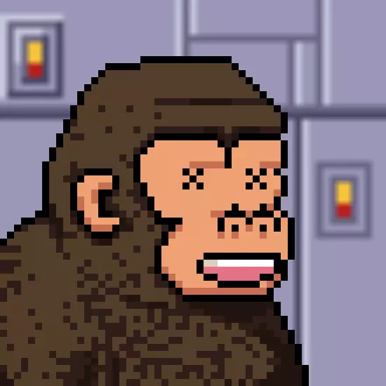 inscription 8446e2affaa995178341639472e4a4de5847d335efb3375fbf43308186455224i0