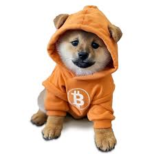 inscription 86ea2739e9317a108f351796dfda4c0586fa58b6cb551518fa08e02c482d5dd0i0