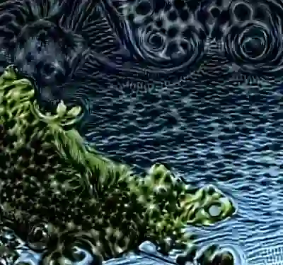 inscription 879d8dd1abb0a708e149e65d78c92df0934083b2e70e9388de3b04aba8baec3di2