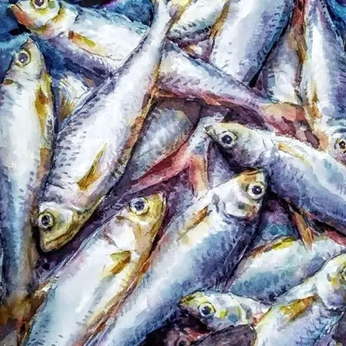 inscription 88236fe6b23c6be94feb4cb84d60d126c74509a0a47993331c87ff3b166ba55ei4