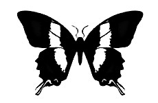 inscription 8a76305db053a2c1158957029ea410ab719ccf948453be0ae765bc7de7a8dc30i0