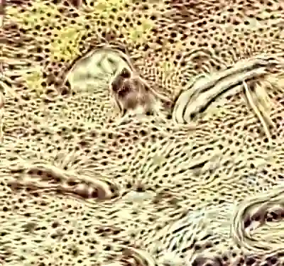 inscription 8ae3349deb5892045c53e1990ba08493e352e2acc02bc523b9e6ab9f6d9124f9i0