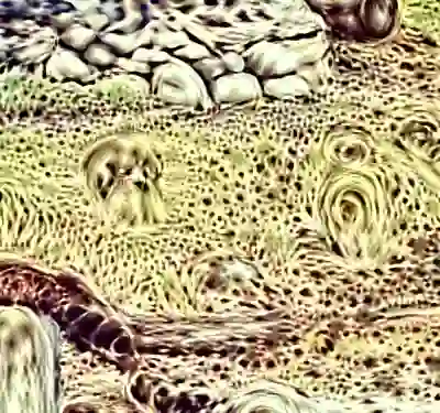 inscription 8ae3349deb5892045c53e1990ba08493e352e2acc02bc523b9e6ab9f6d9124f9i6