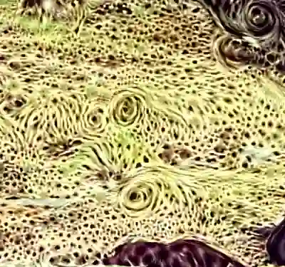 inscription 8ae3349deb5892045c53e1990ba08493e352e2acc02bc523b9e6ab9f6d9124f9i7