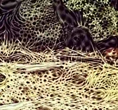 inscription 8ae3349deb5892045c53e1990ba08493e352e2acc02bc523b9e6ab9f6d9124f9i9