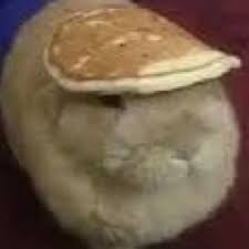 inscription 8c7048993eb976756f30f562b382d14964769b0a4ebc9e781906dd411a3c0b84i0