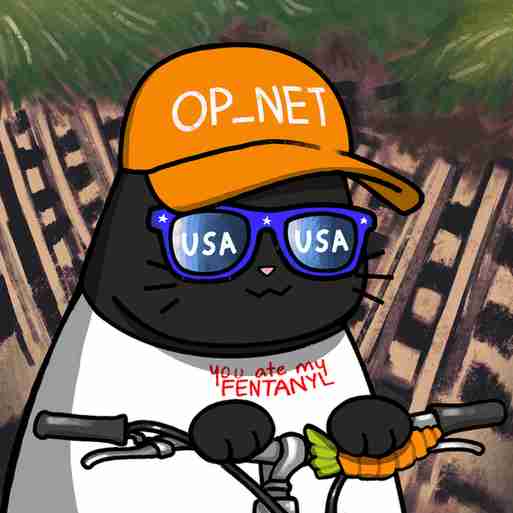 inscription 8e3035f405b56dd606dd7b008530939c1e1b740d5413bc5b7363202d678100adi6