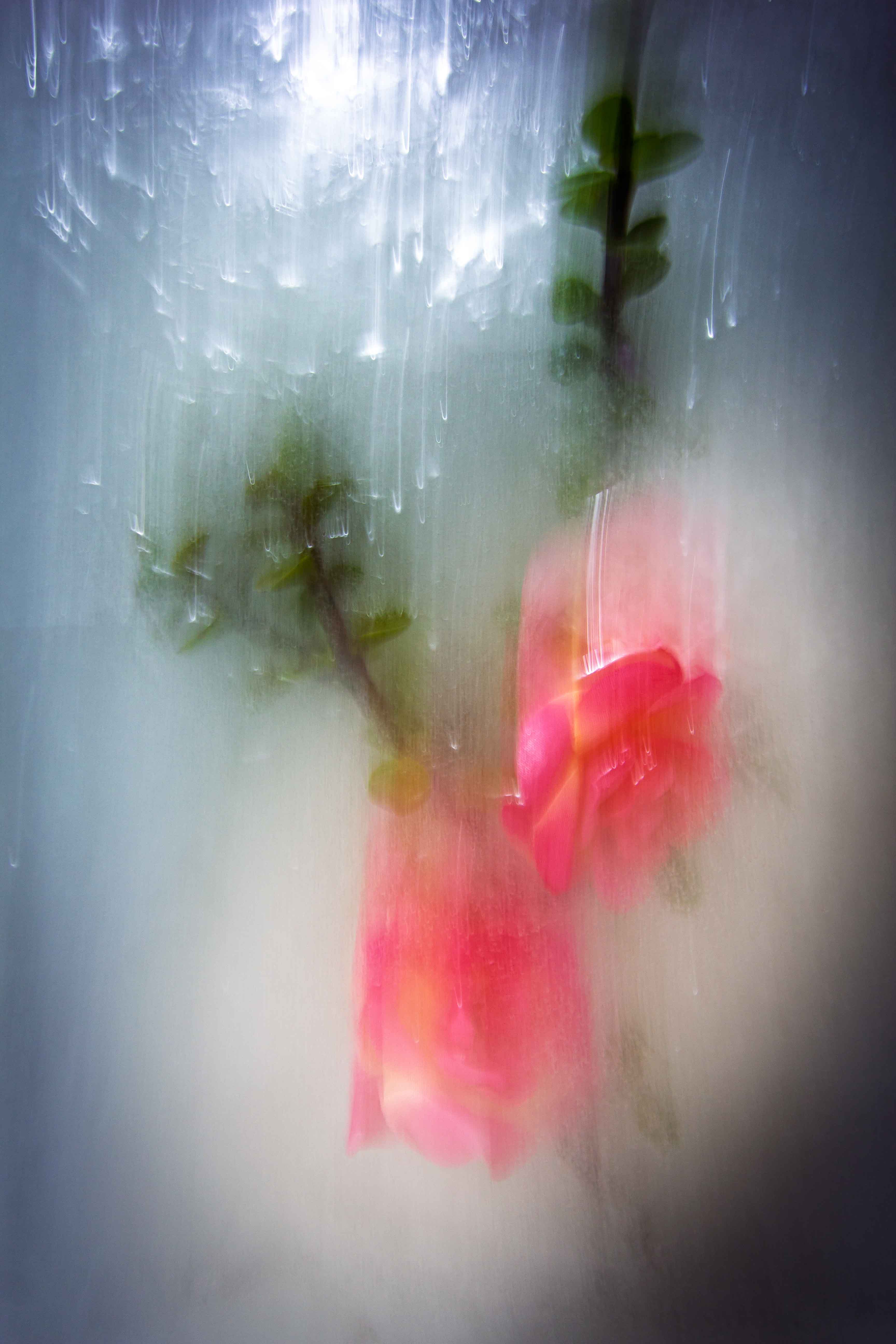 inscription 8f1bab6785b97df5988334b2e0b54d43ff7670c89302204b73a855aa439ff557i0