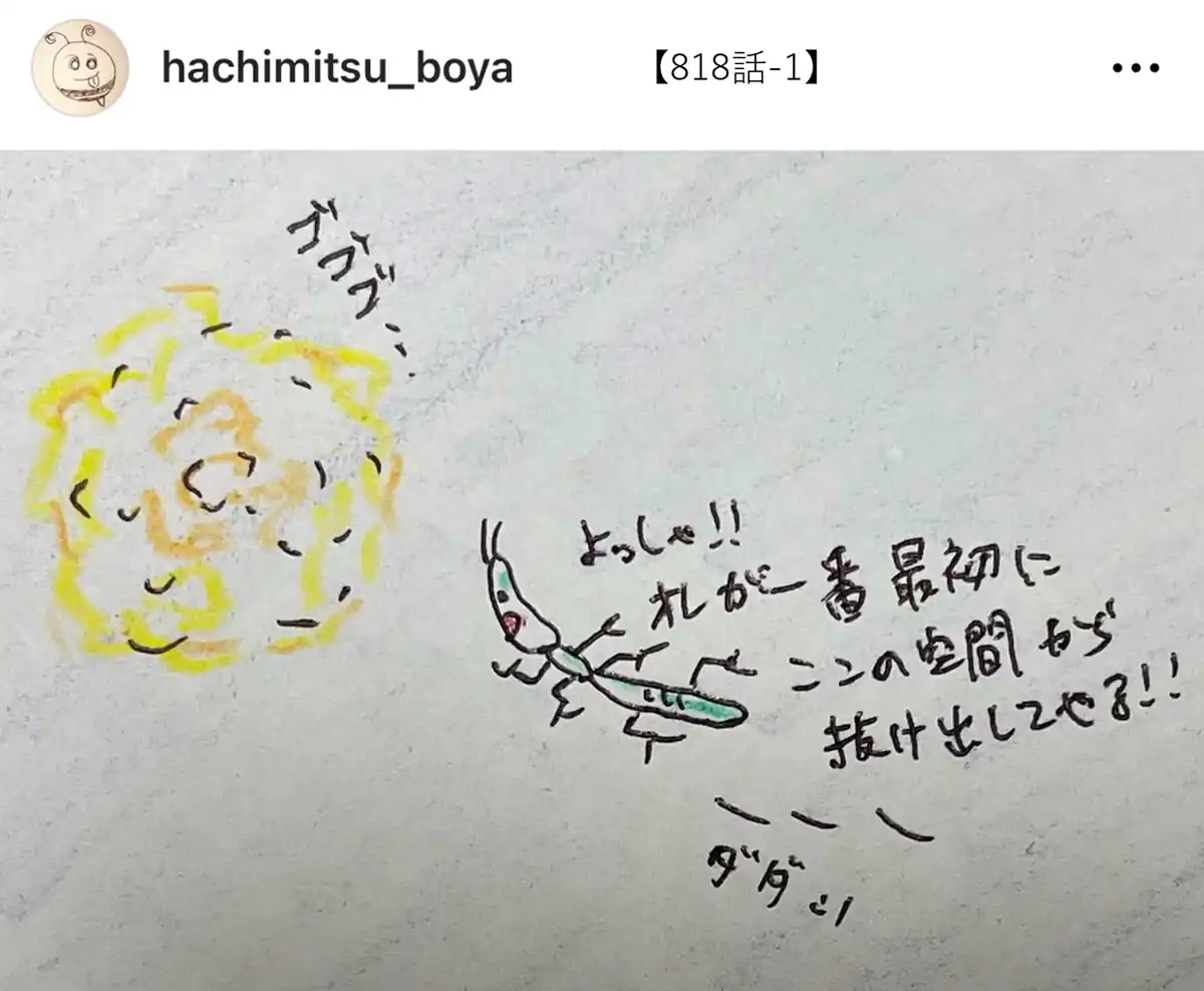 inscription 91dde304c9c2e5d7a69dc5de18bcb2655f46a2955fbf4819c1536f2a896b1c04i0