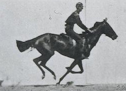 inscription 92e75f237a7200c475eee5a56feb40c6129140ea3ea2b4b2630c33ddb7fca833i0