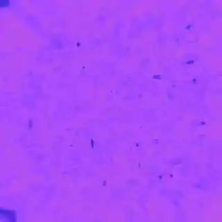 inscription 92ee7ecfaa23680ab99eda23a0c4b1e8159c0ea47953400b21259897842bd254i0