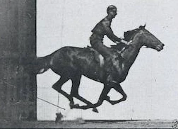 inscription 932f0539bb4ed99351175ce09cdb8712f9a9576678ccd6cf0498016328903964i0