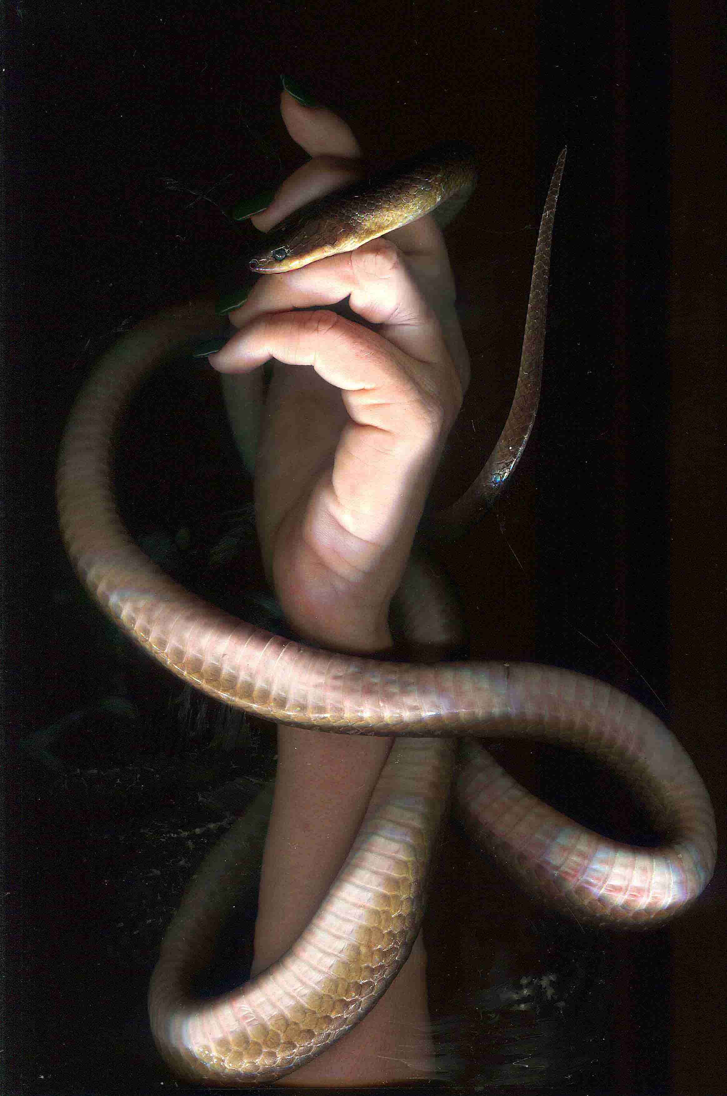 inscription 94c21405c926e916c482bab2c989372fcdeb4f3f31ce4536c03af1481abb46d6i0