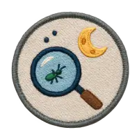 inscription 9610d31d6c01856f9f89b83ebd551c085f2ebaaa53ecddb2fd849822691baaeei15