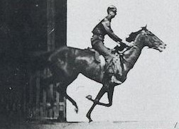 inscription 9955ea05304254e0cc179fb3a45e614988da1bba2a2995d35720f87b973b2dd5i0