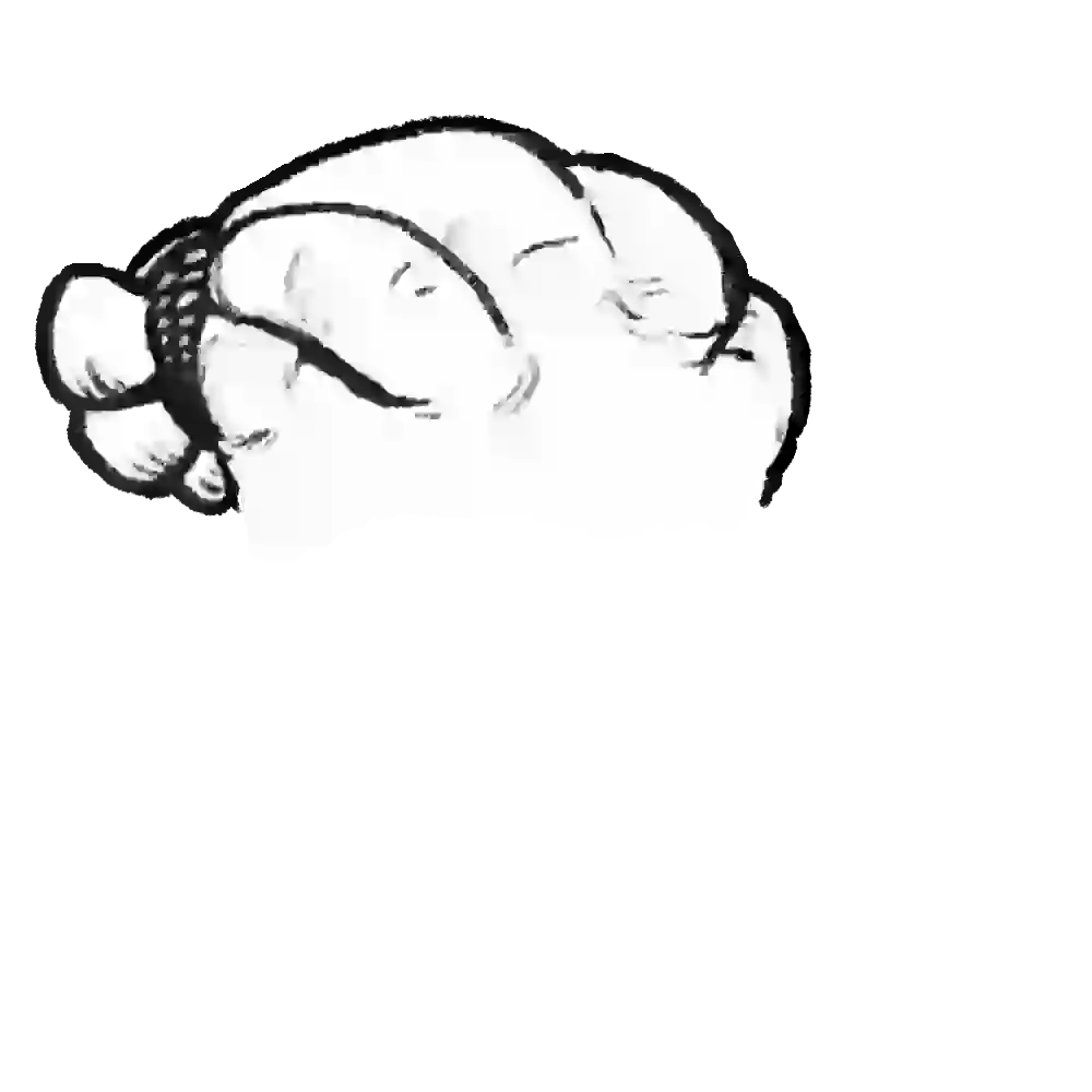 inscription 9a3f740a930739fc67ada159961d86d549905207c279800aefa509454530a7abi19