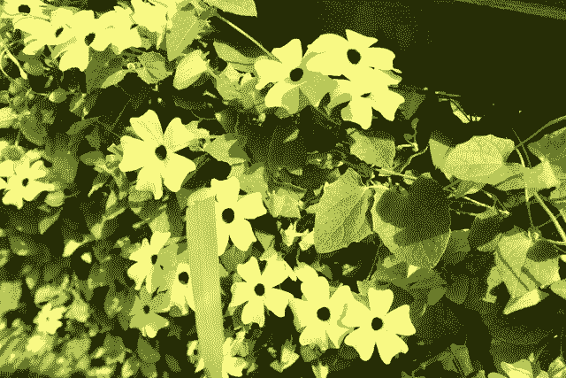 inscription 9af2457ab5f8427e46a143303d10ed95f9a30d23dff76be3e98d551fdc56c9c9i0